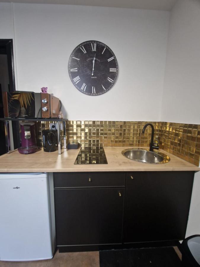 Gold Apartment Mulhouse